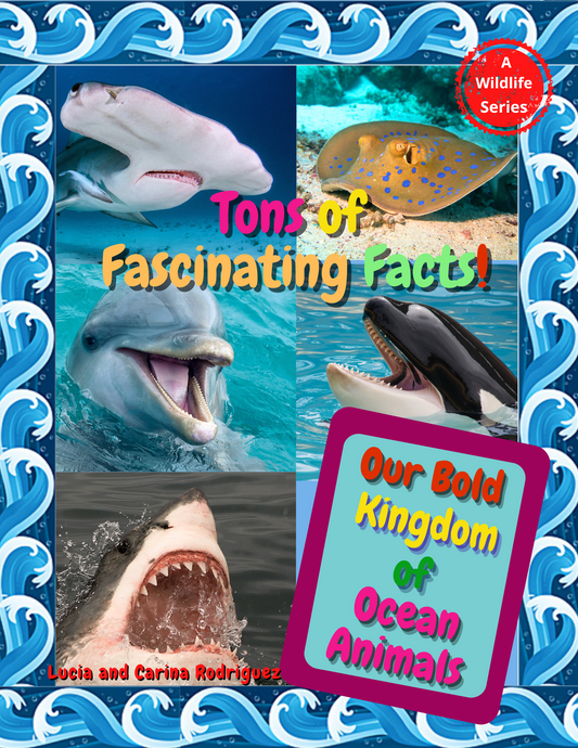 Our Bold Kingdom of Ocean Animals (paperback)
